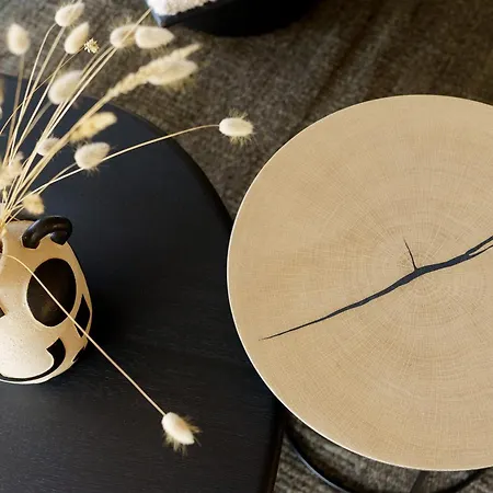 Willa Maison Chapron De Standing Avec Piscine, Calme Et Golf A Biscarrosse