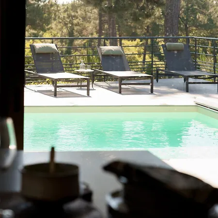 Maison Chapron De Standing Avec Piscine, Calme Et Golf A * Biscarrosse