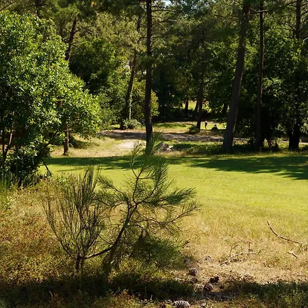 Maison Chapron De Standing Avec Piscine, Calme Et Golf A *