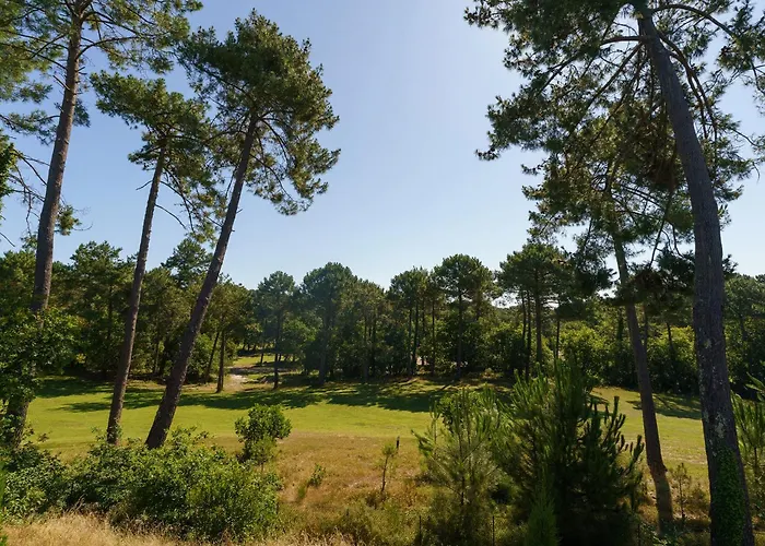 Maison Chapron De Standing Avec Piscine, Calme Et Golf A 别墅 比斯卡罗斯