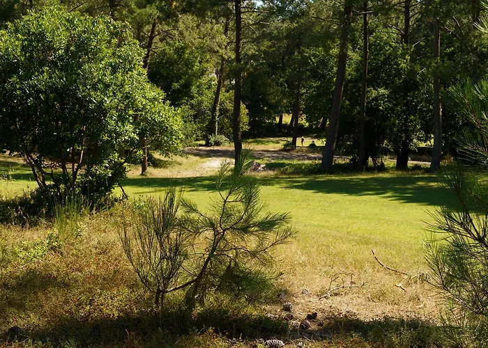 Maison Chapron De Standing Avec Piscine, Calme Et Golf A *
